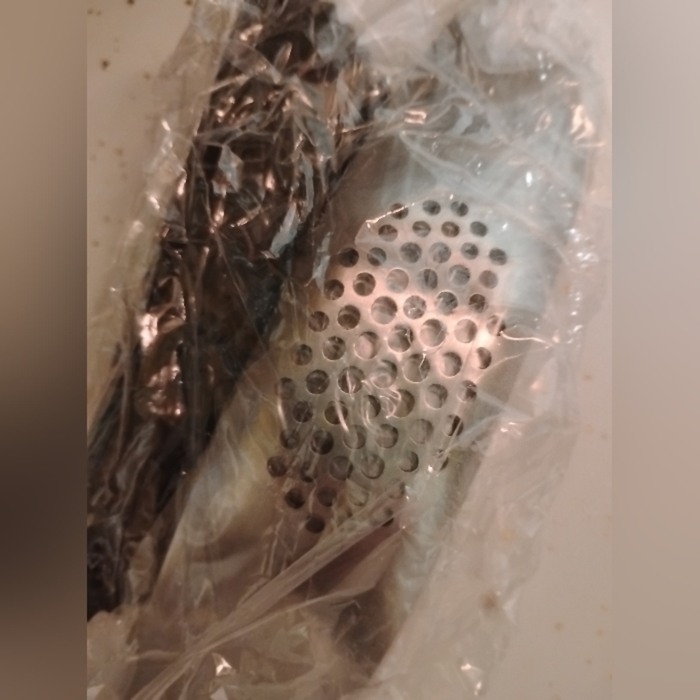 Stainless Steel Garlic Press